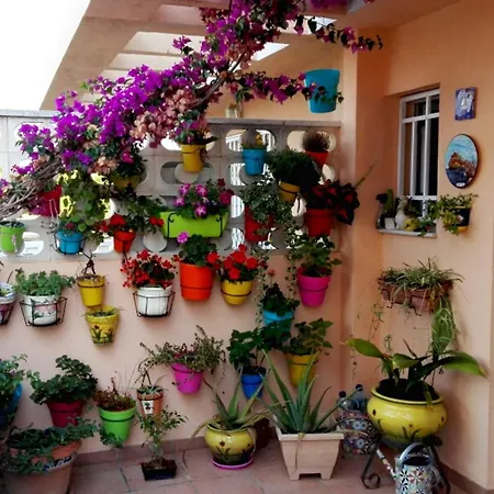 House With 3 Bedrooms In Oliva, With Furnished Terrace And Wifi - 350 Oliva